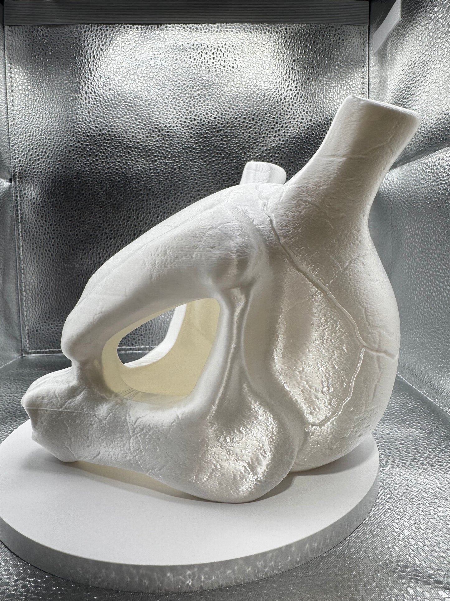 Mow2 Skull 3d Print